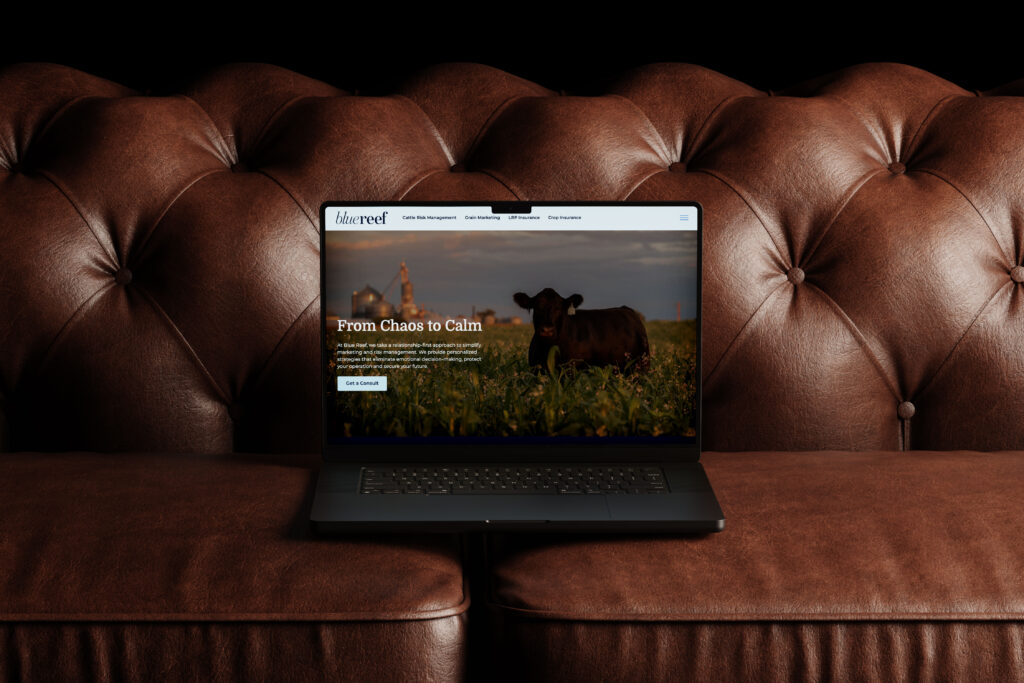 Laptop on a brown leather couch showing the Blue Reef website homepage with the headline “From Chaos to Calm.”