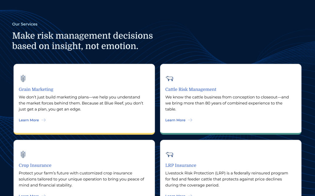 Screenshot of the Blue Reef homepage featuring the main tagline and service overview.