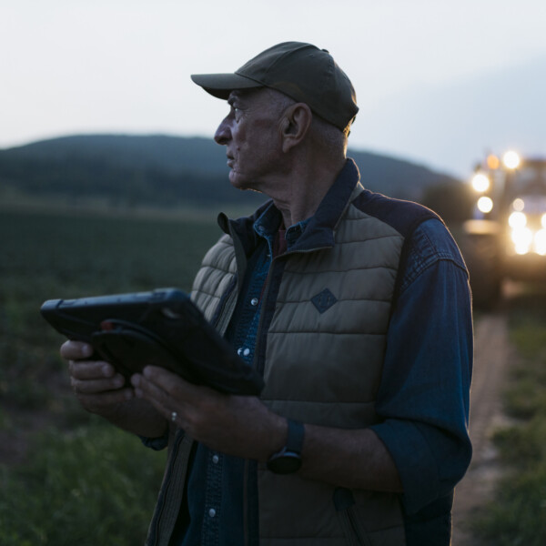Senior male farmer assessing the crop walking on the field with a digital tablet in evening